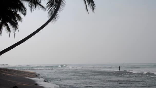 Costa tropical acenando oceano perto de palmeiras escuras silhueta — Vídeo de Stock