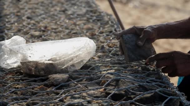 Hombre manos agarrar piedra y batir la preparación de cebo para la pesca — Vídeo de stock