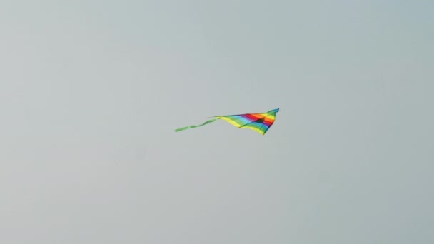 Colorful kite with wide stripes and tail flies in clear sky — Stock Video