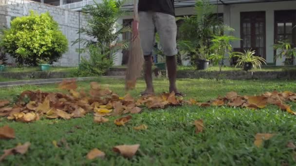 Темношкірий чоловік у шортах тримає мітлу і очищає сухе листя — стокове відео