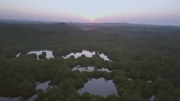 Ranní sluneční světlo opuštěné nekonečné čajové plantáže — Stock video