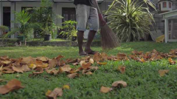 Štíhlé tmavé kůže muž stojí na trávníku a zametá suché listy — Stock video