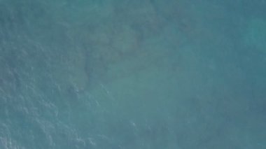 Sonsuz okyanusun sakin mavi suyu parlak güneş ışığını yansıtır.