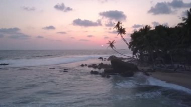 Köpüren okyanus dalgaları, palmiye ağaçlarıyla kumlu sahil şeridinde dalgalanır.