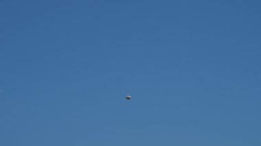 Güçlü rüzgâr sineklerinin salladığı boş pizza kutusu silueti