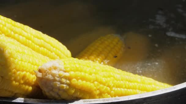 Le spighe gialle gialle giacciono in vaso di colore nero con acqua calda — Video Stock