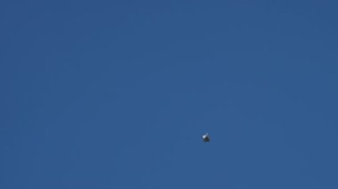 Kuvvetli rüzgar, boş kahverengi pizza kutusunu gökyüzüne kaldırıyor.