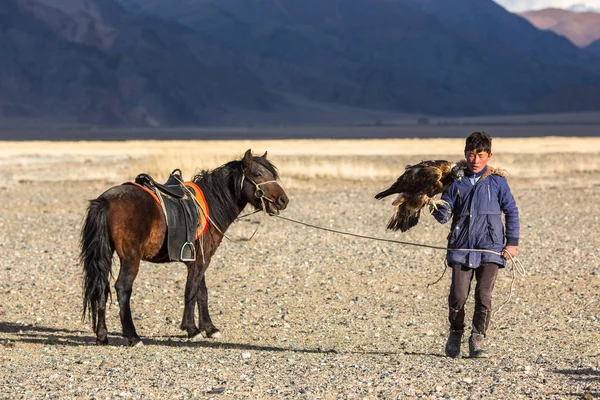 Sagsay Mongolia Września 2017 Berkutchi Eagle Hunter Golden Eagle Podczas — Zdjęcie stockowe