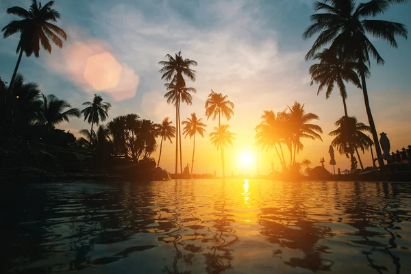 Pôr Sol Incrível Praia Tropical Com Silhuetas Palmeiras — Fotografia de Stock