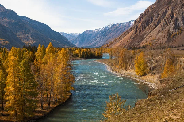 Orman ve nehir dağ Kuzey-Chuya ridge Altay Cumhuriyeti, Rusya Federasyonu.