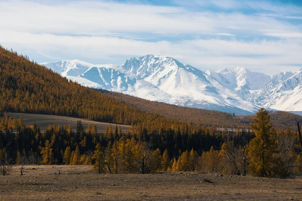 Snöiga Toppar Chuya Ridge Altai Bergen Ryssland — Stockfoto