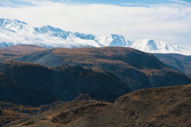 Landscape of the Altai mountains. Altai Republic, Russia. clipart
