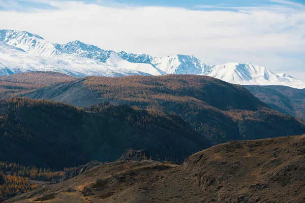 Τοπίο Από Βουνά Αλτάι Δημοκρατία Των Αλτάι Ρωσία — Φωτογραφία Αρχείου