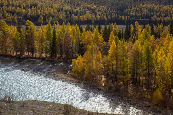 Paysages Des Montagnes Automne République Altaï Russie — Photo