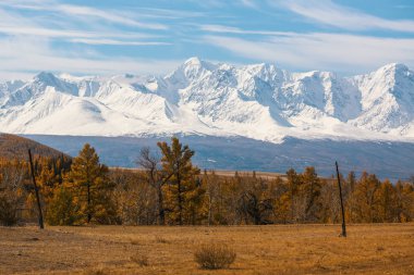 Sarı sonbahar orman ve dağ Kuzey-Chuya ridge Altay Cumhuriyeti, Rusya Federasyonu.