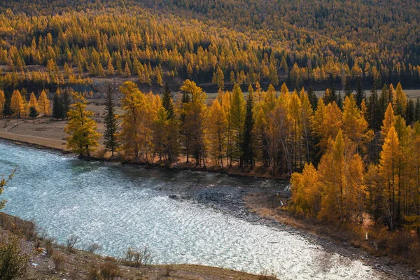 Paisagens Outono Altai República Rússia — Fotografia de Stock