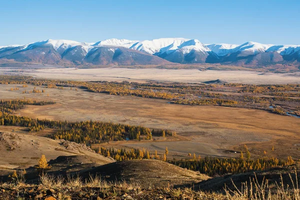 Προβολή Των Κορυφογραμμή Chuya Των Βουνών Αλτάι Στη Σιβηρία Ρωσία — Φωτογραφία Αρχείου
