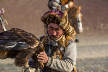 Sagsay, Moğolistan - 28 Eylül 2017: Berkutchi (Kartal Hunter) ise bir Altın Kartallar ile tavşan Bayan-Olgii Aymağı dağlarında kolları üzerinde avcılık. 