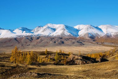 Panoramik Altay-Chuya sırtın, Batı Sibirya, Rusya Federasyonu.