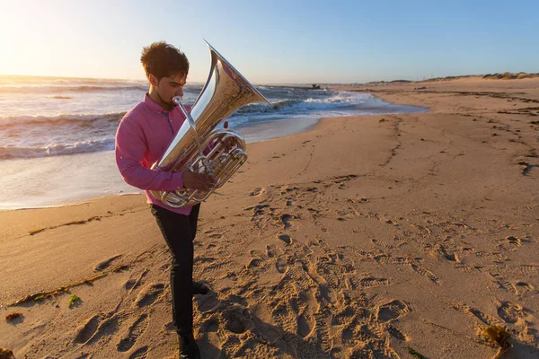 Müzisyen Oynamak Tuba Okyanus Kıyısında — Stok fotoğraf