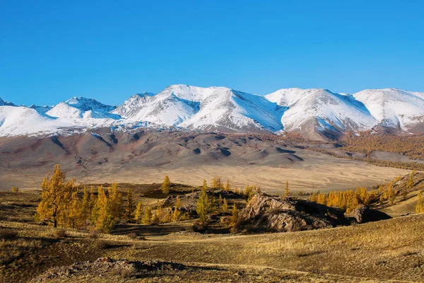 阿尔泰 Chuya 山脊全景 西西伯利亚 俄罗斯 — 图库照片