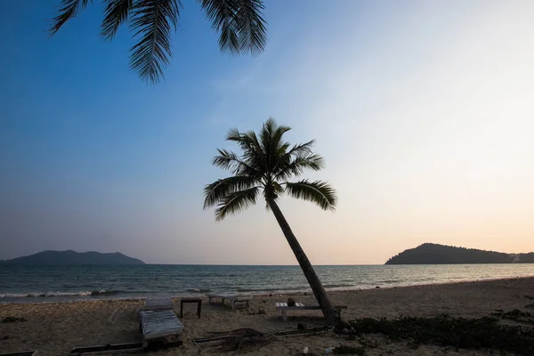 Palmy Bezludnej Tropikalnej Plaży — Zdjęcie stockowe