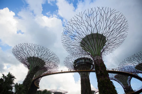 Singapore Februari 2016 Visa Trädgårdarna Vid Viken Trädgårdarna Vid Viken — Stockfoto
