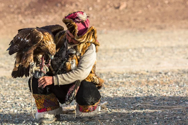 Sagsay Mongolia Sep 2017 Golden Eagle Hunter Mientras Caza Liebre — Foto de Stock