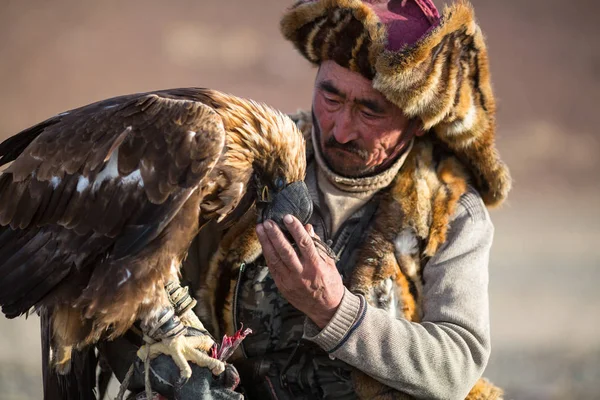 Sagsay Mongolie Sep 2017 Chasseur Aigle Royal Alors Chasse Lièvre — Photo