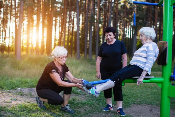 Una Donna Anziana Simulatore Sport Nel Parco Due Donne Adulte — Foto Stock