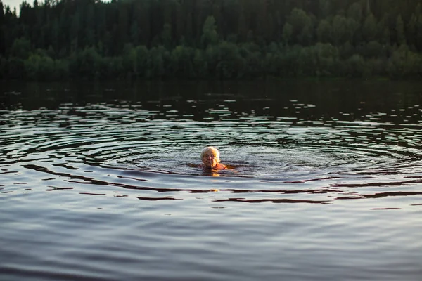 Mulher Idosa Nadando Rio Verão Pôr Sol — Fotografia de Stock