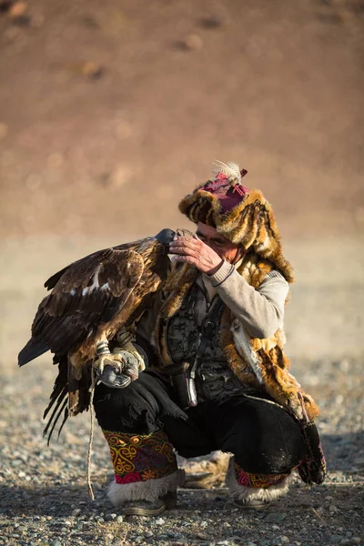 Sagsay 2017年9月28日 金黄老鹰猎人 当狩猎对野兔在他的胳膊拿着一只金黄老鹰在西部蒙古的沙漠山 — 图库照片
