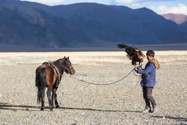 Sagsay Mongolia Września 2017 Hunter Złotego Orła Podczas Polowania Zająca — Zdjęcie stockowe