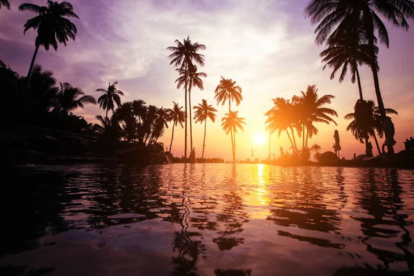 Crepúsculo Una Playa Tropical Con Siluetas Palmeras Reflejos Agua Color —  Fotos de Stock