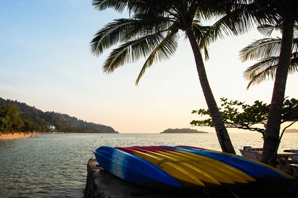 Ensemble Kayak Trouvent Sur Côte Tropicale — Photo