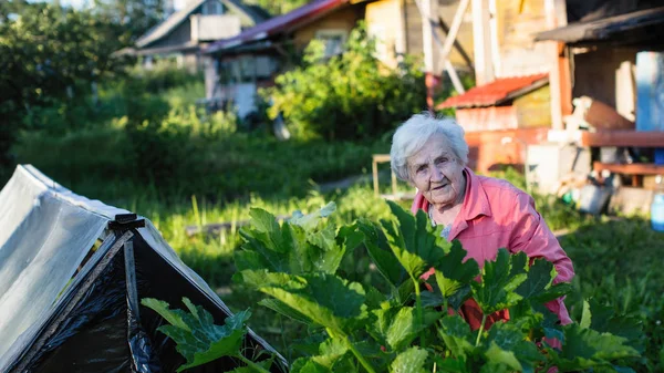 Пожилая Женщина Саду Деревенского Дома — стоковое фото