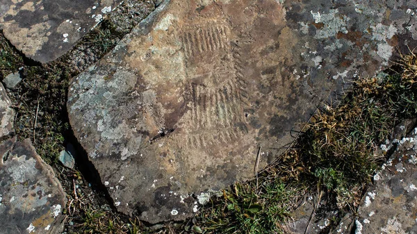 Petroglyfy Starověké Skalní Malby Pohoří Altaj Rusko — Stock fotografie