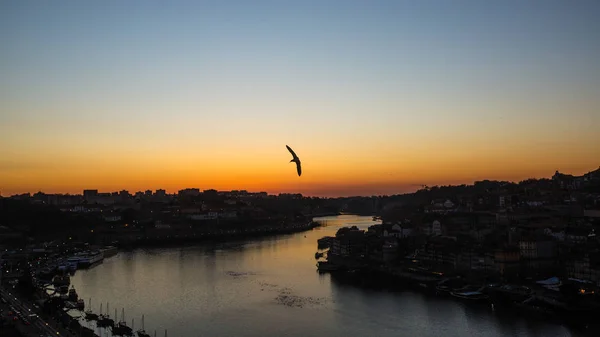 Utsikt Över Floden Douro Från Dom Luis Jag Bron Nattetid — Stockfoto