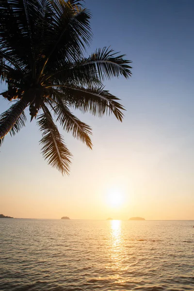 热带海滨的棕榈树在惊人的日落期间 — 图库照片