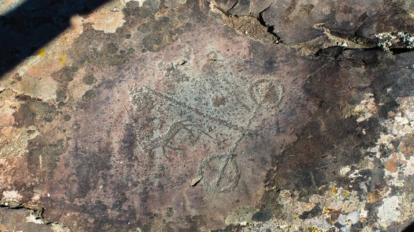 Starověké Skalní Malby Petroglyphs Pohoří Altaj Rusko — Stock fotografie