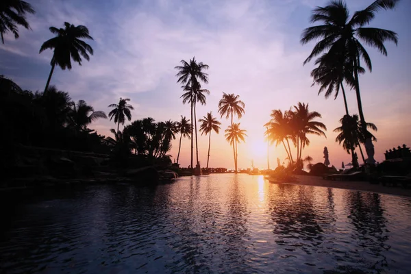 Красивый Закат Силуэтами Пальм Тропическом Пляже — стоковое фото