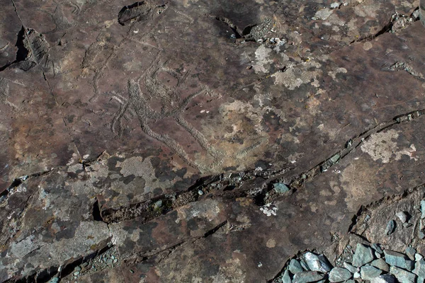 Ancient rock paintings Petroglyphs in the Altai Mountains, Russia.