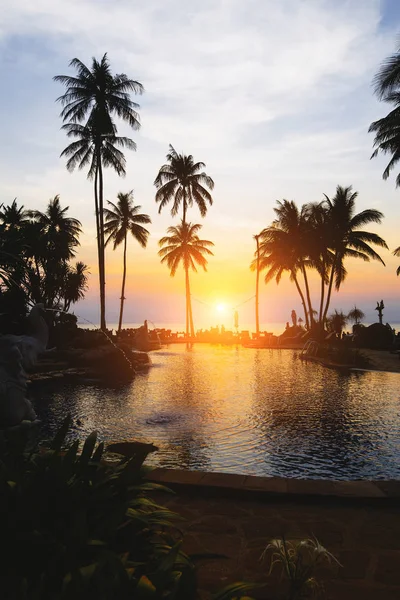 ヤシのシルエットと亜熱帯の海のビーチですばらしい夕日 — ストック写真