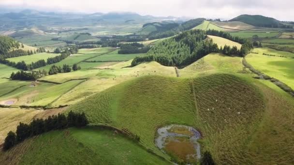 Coal Peak Viewpoint Flying Green Fields San Miguel Island Azores — Stock Video