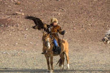 Sagsay, Moğolistan - 28 Eylül 2017: Altın Kartal avcı ise bir Altın Kartallar kollarını içinde çöl Dağ Batı Moğolistan üzerinde tutarak tavşan için avcılık.