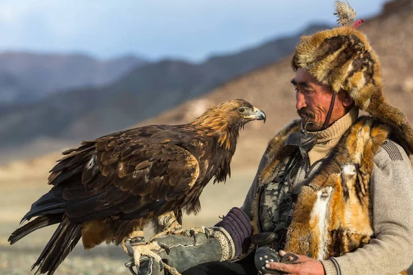 彼の腕で砂漠山の西モンゴルの黄金のワシを保持しているうさぎに狩猟中の Sagsay モンゴル Sep 2017 ゴールデン イーグル ハンター — ストック写真