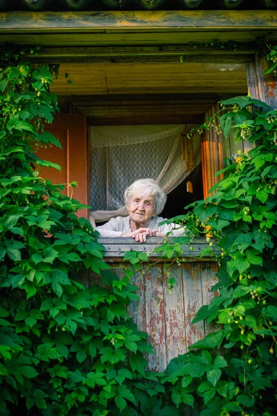 Starší Žena Sedící Zelené Terase — Stock fotografie