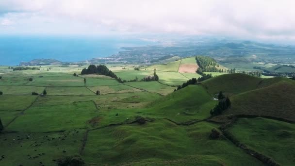 Vista Aves Los Campos Verdes Isla San Miguel Azores Portugal — Vídeo de stock