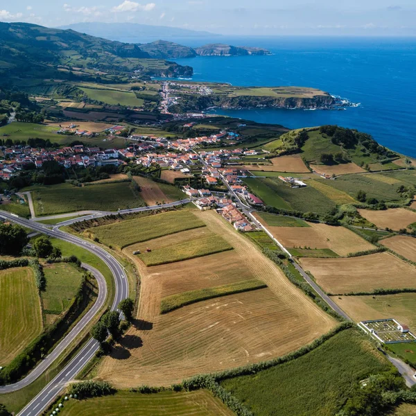 Top View Tea Plantation Maia San Miguel Island Azores Portugal — Stock Photo, Image