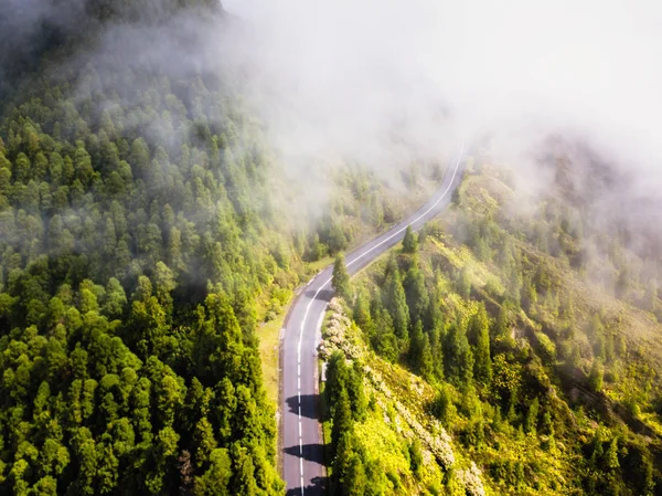 Ορεινό Δρόμο Τυλιγμένη Στην Ομίχλη — Φωτογραφία Αρχείου
